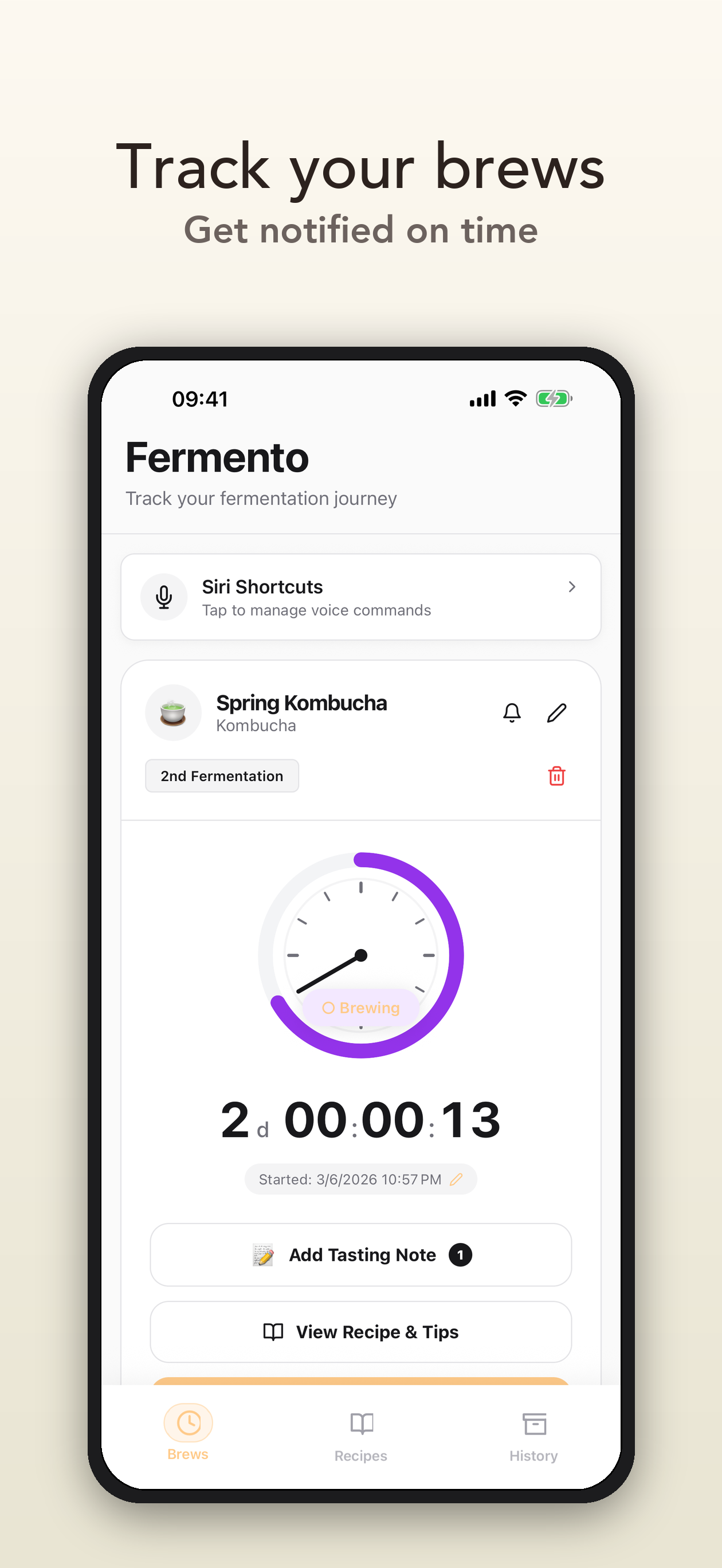 Dashboard Mockup